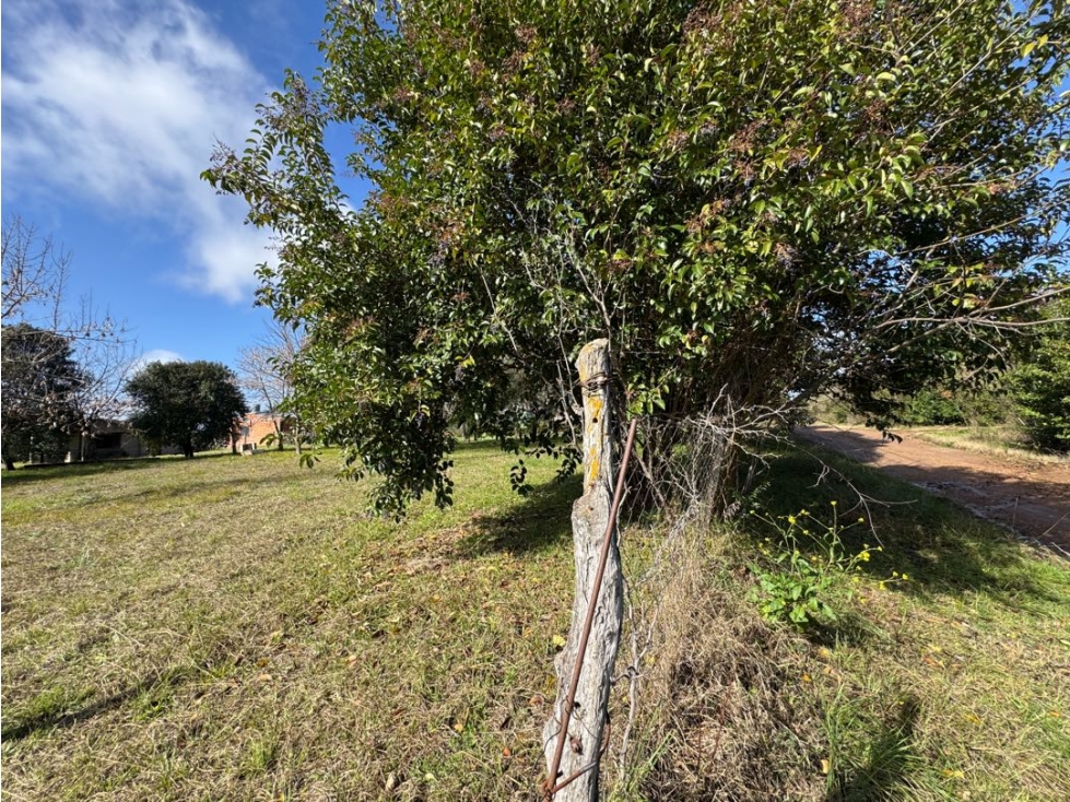 Vendo Casa Quinta en Concepción del Uruguay, Entre Ríos — foto 4