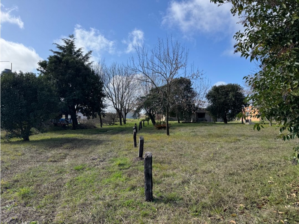 Vendo Casa Quinta en Concepción del Uruguay, Entre Ríos — foto 6