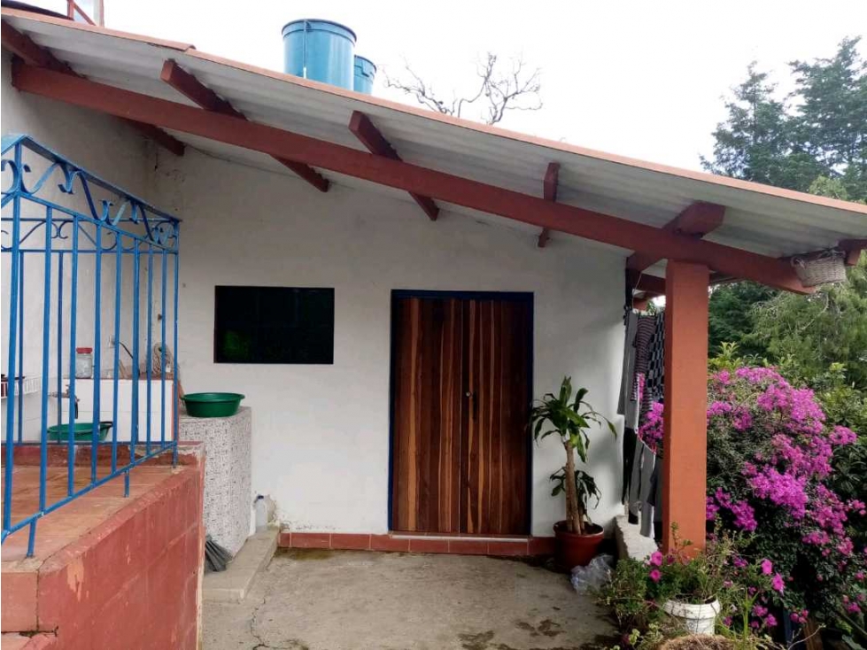 VENDO CASA COLONIAL EN ANGELOPOLIS SUR OESTE ANTIOQUEÑO — foto 5