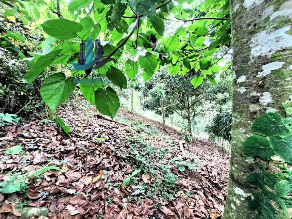 VENDO CASA Y LOTE DE 1508M2 PRECIO NEGOCIABLE - 3