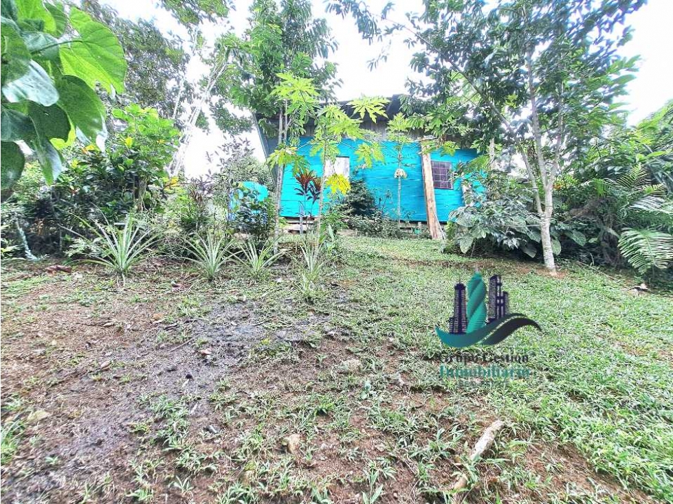 VENDO CASA Y LOTE DE 1508M2 PRECIO NEGOCIABLE - 2