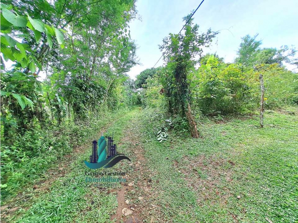 VENDO CASA Y LOTE DE 1508M2 PRECIO NEGOCIABLE - 4