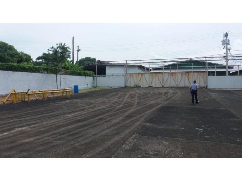 Vendo Complejo Industrial de Galeras Juan Diaz - 5