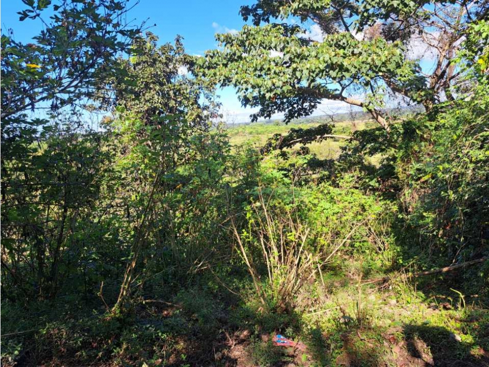 VENDO CUATRO HECTAREAS CON AGUA VIVA EN BOQUERON - 6