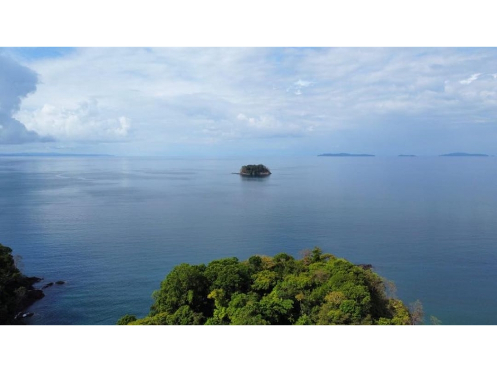 Vendo de Isla cerca de Veraguas con manantiales de agua natural - 3