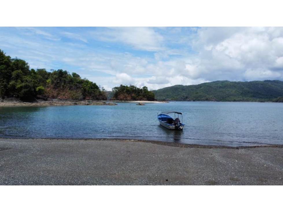Vendo de Isla cerca de Veraguas con manantiales de agua natural - 4