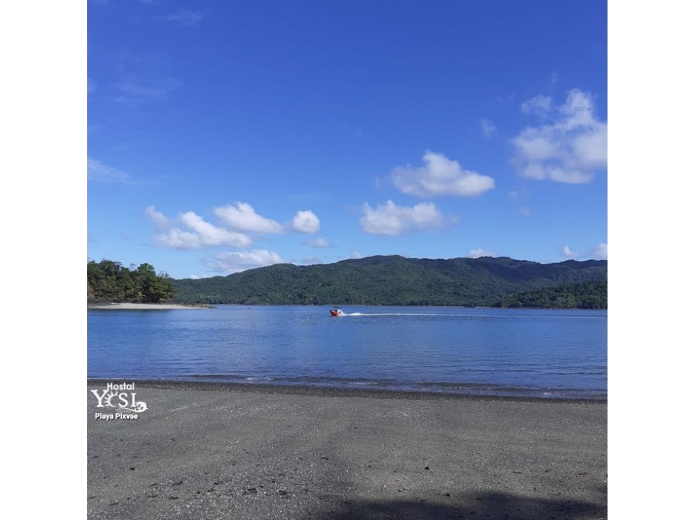 Vendo de Isla cerca de Veraguas con manantiales de agua natural - 5