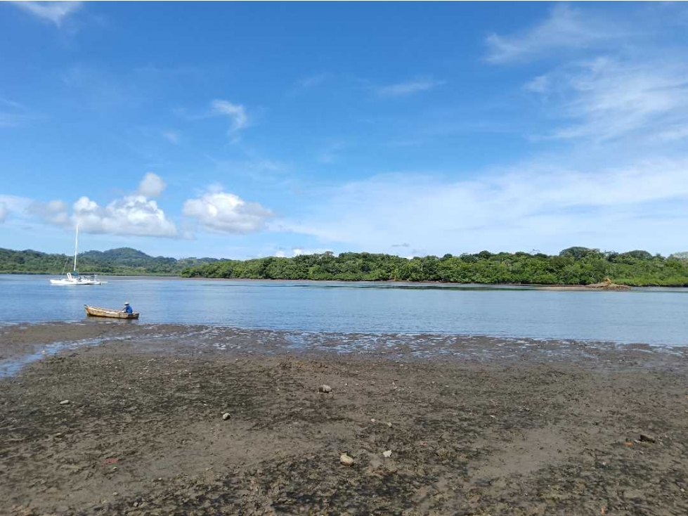 VENDO DOS HECTAREAS EN CONCESION BOCA CHICA - 1