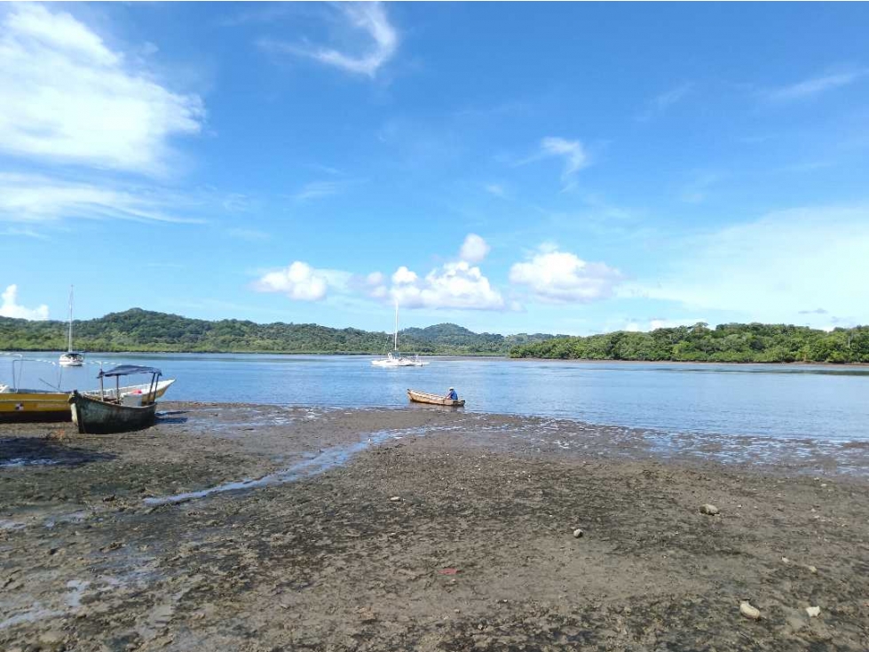 VENDO DOS HECTAREAS EN CONCESION BOCA CHICA - 2