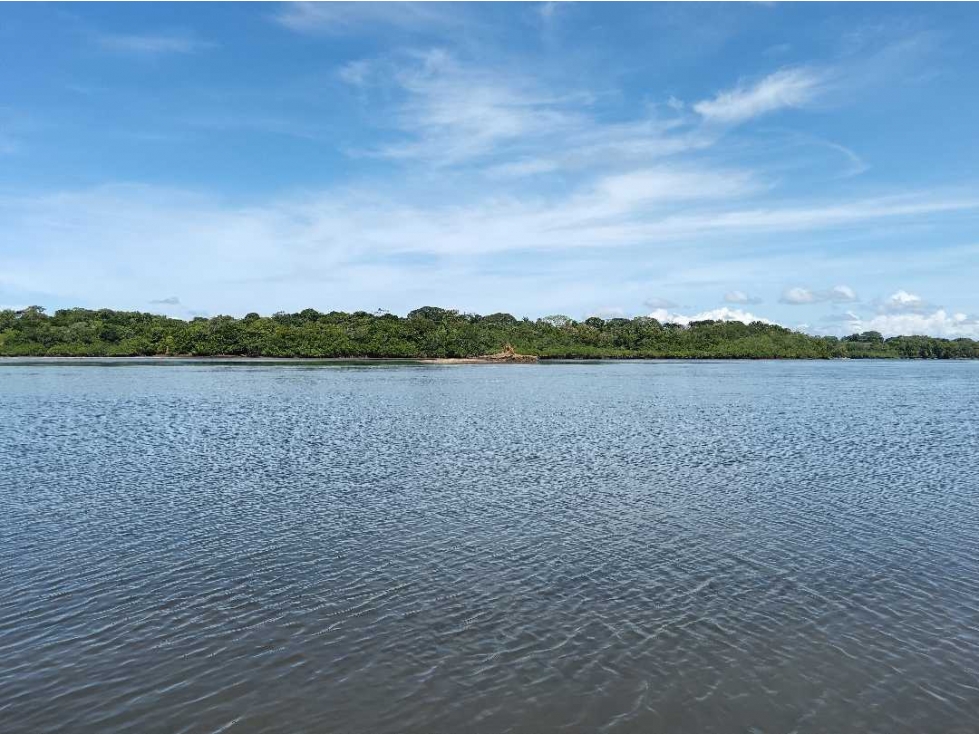 VENDO DOS HECTAREAS EN CONCESION BOCA CHICA - 4