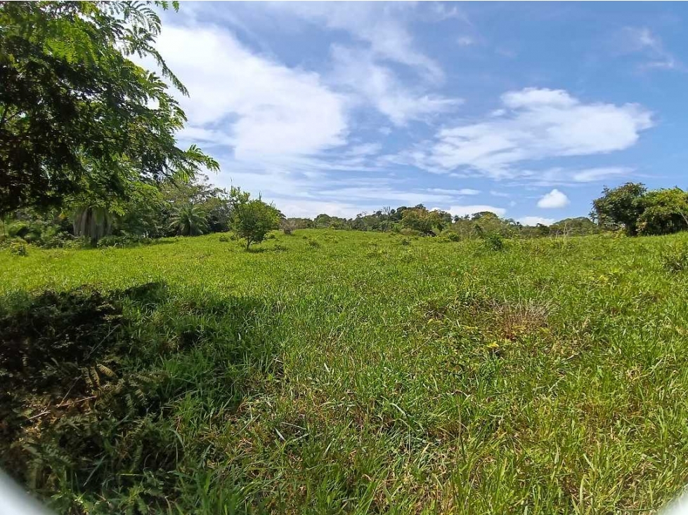 VENDO DOS HECTAREAS EN CONCESION BOCA CHICA - 5