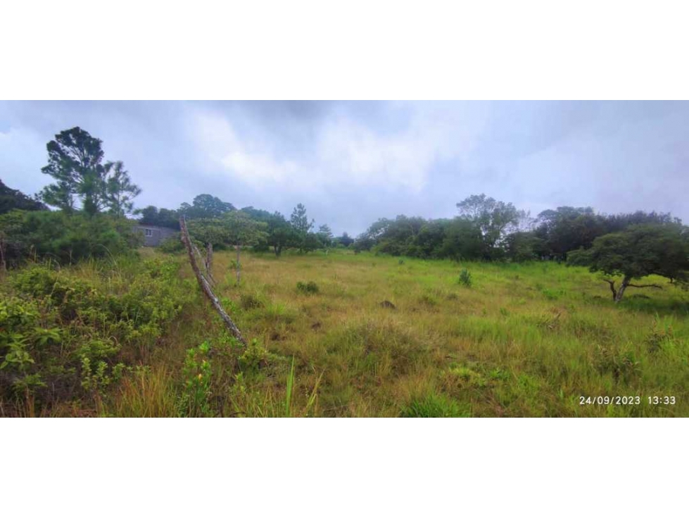 VENDO UNA HECTAREA + 5083MTS VIA PRINCIPAL ALTO BOQUETE — foto 2
