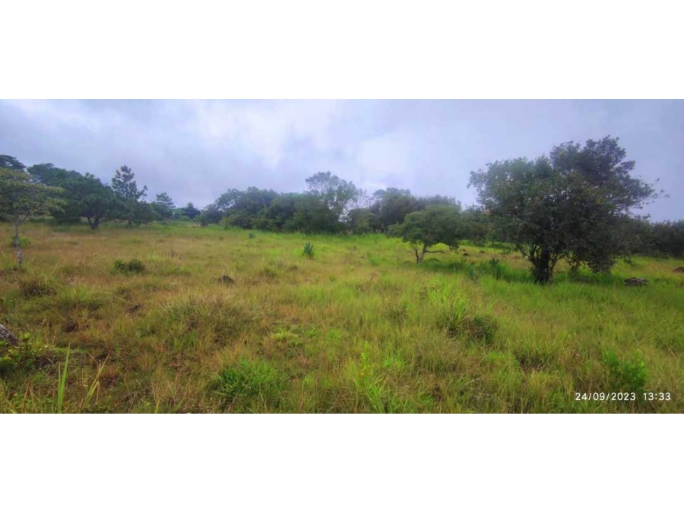 VENDO UNA HECTAREA + 5083MTS VIA PRINCIPAL ALTO BOQUETE — foto 3