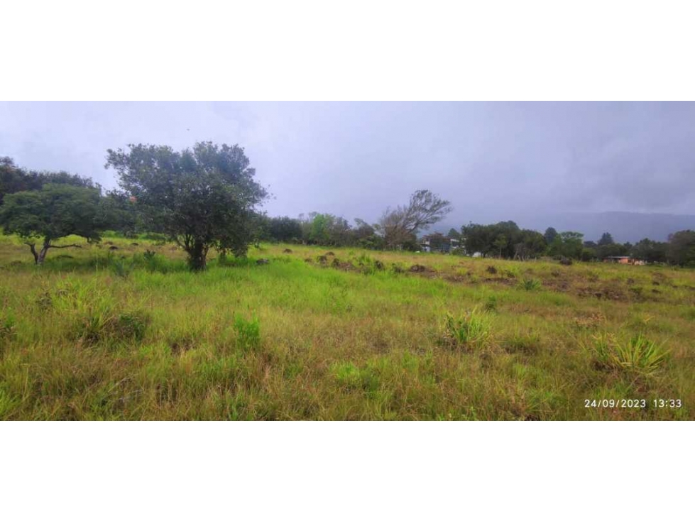 VENDO UNA HECTAREA + 5083MTS VIA PRINCIPAL ALTO BOQUETE — foto 4