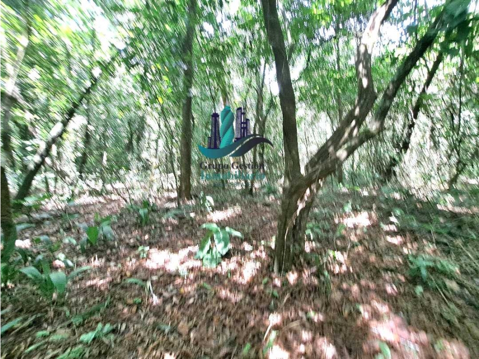 VENDO 2.5 HECTAREAS TIERRA NEGRA PLANA SAN.CARLOS.DAVID — foto 4