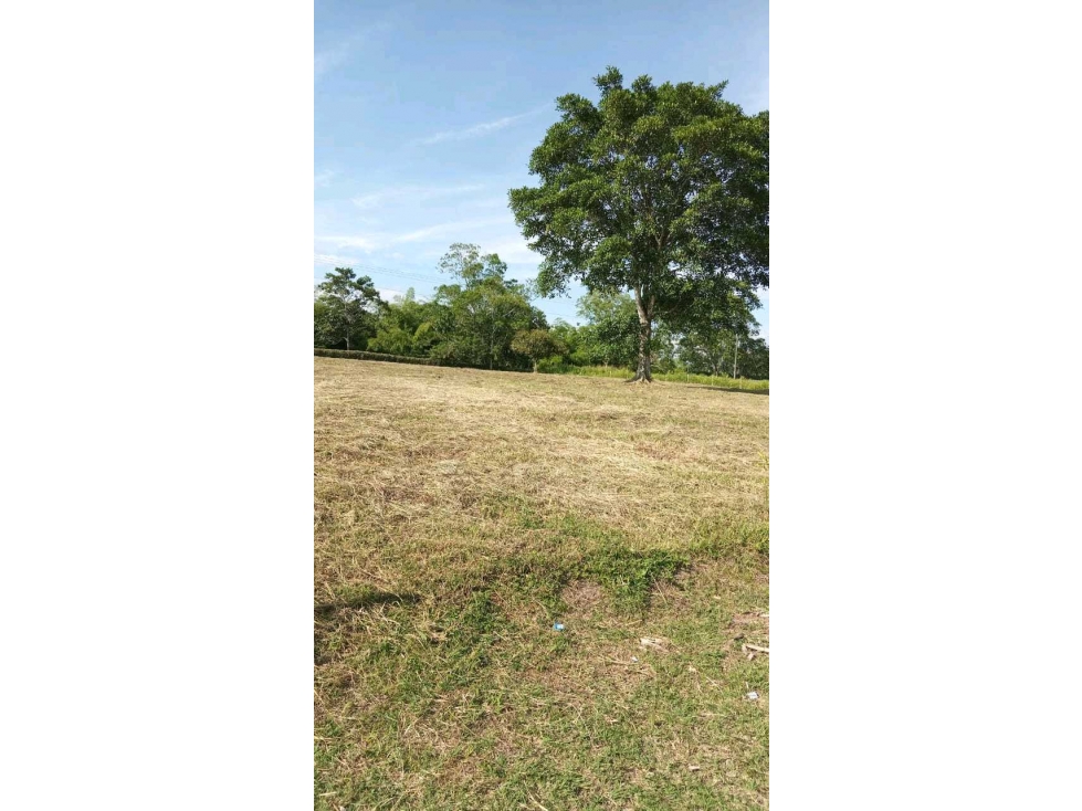 VENDO ESPECTACULAR LOTE CAMPESTRE EN MONTENEGRO - QUINDIO .