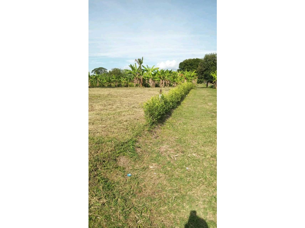 VENDO ESPECTACULAR LOTE CAMPESTRE EN MONTENEGRO - QUINDIO . — foto 4