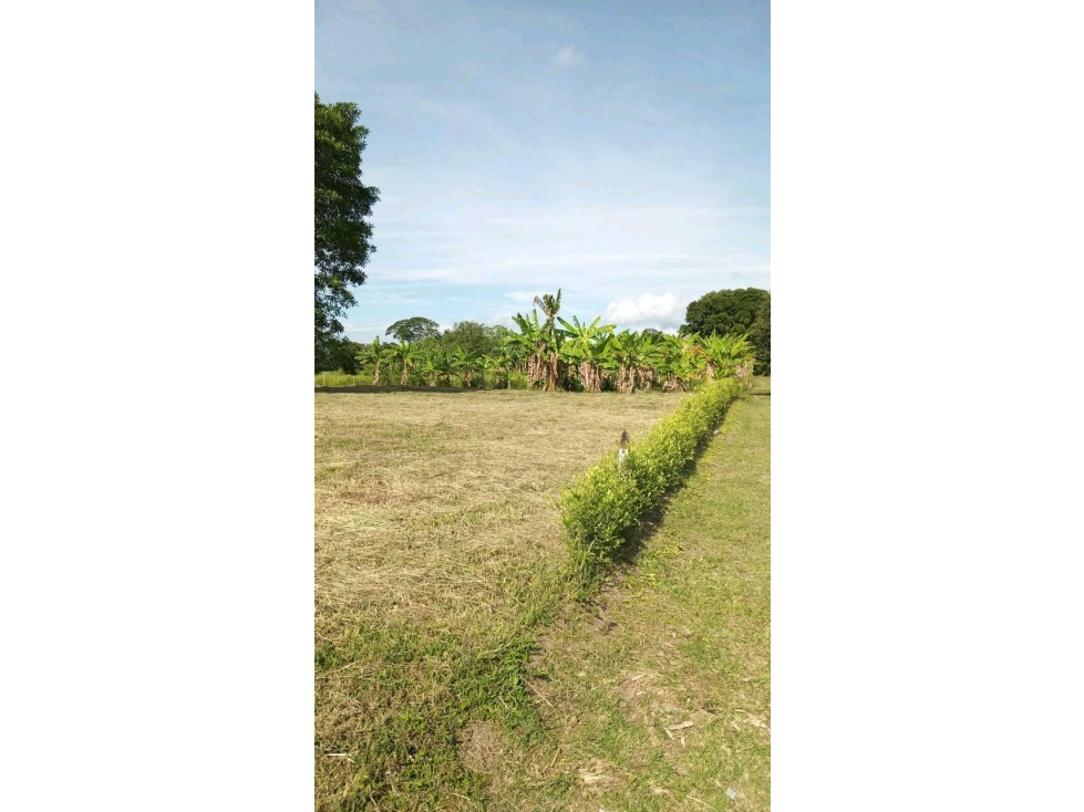 VENDO ESPECTACULAR LOTE CAMPESTRE EN MONTENEGRO - QUINDIO . — foto 5
