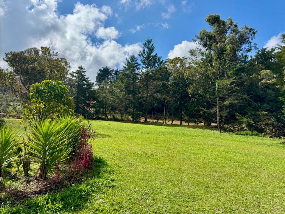 Vendo espectacular lote en Guatapé. Antioquia — foto 2