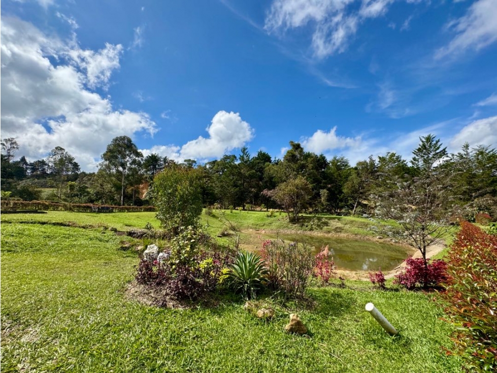 Vendo espectacular lote en Guatapé. Antioquia — foto 6