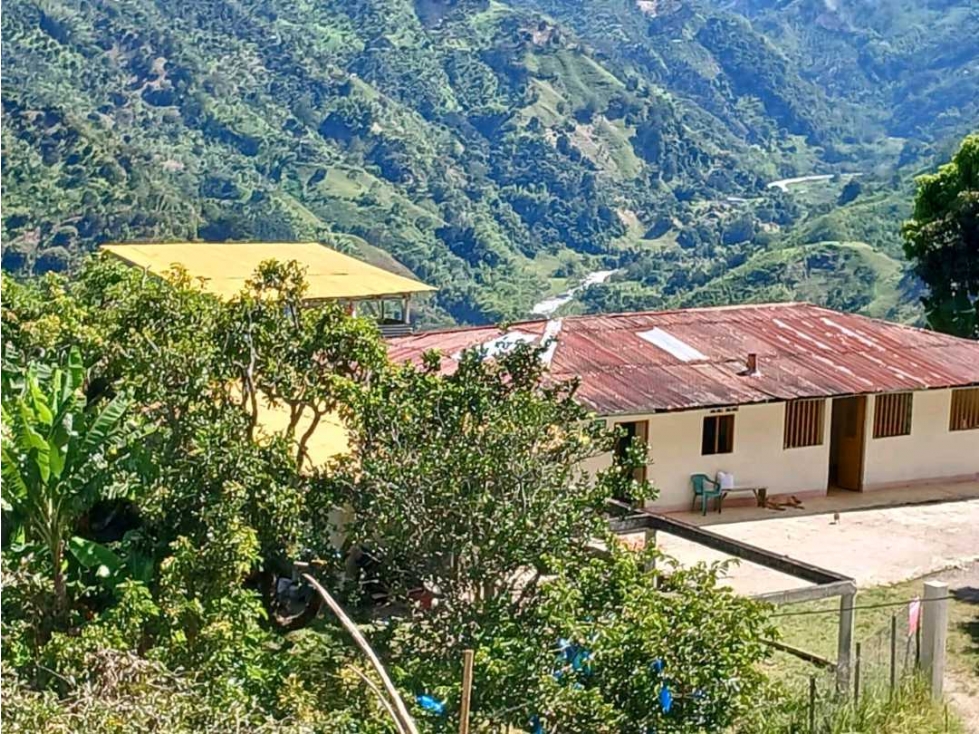 VENDO EXCELENTE FINCA VIA FRESNO CASABIANCA CON DIVERSIDAD DE CULTIVOS - 2