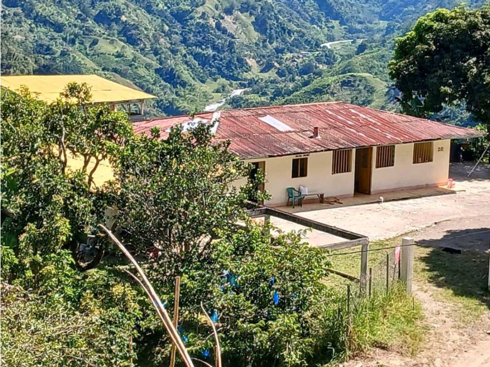 VENDO EXCELENTE FINCA VIA FRESNO CASABIANCA CON DIVERSIDAD DE CULTIVOS - 3