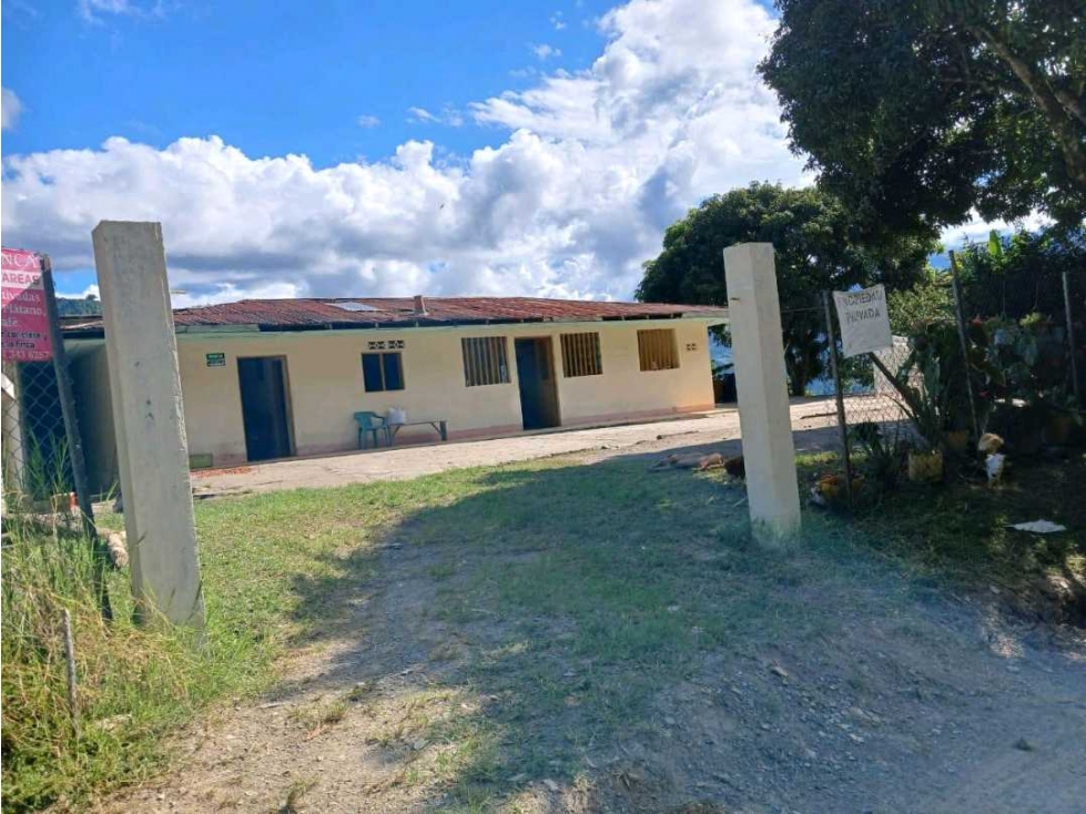 VENDO EXCELENTE FINCA VIA FRESNO CASABIANCA CON DIVERSIDAD DE CULTIVOS - 4