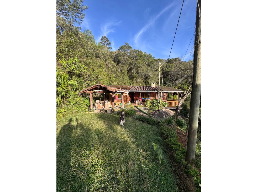 Vendo extraordinario lote para proyecto urbanístico rural