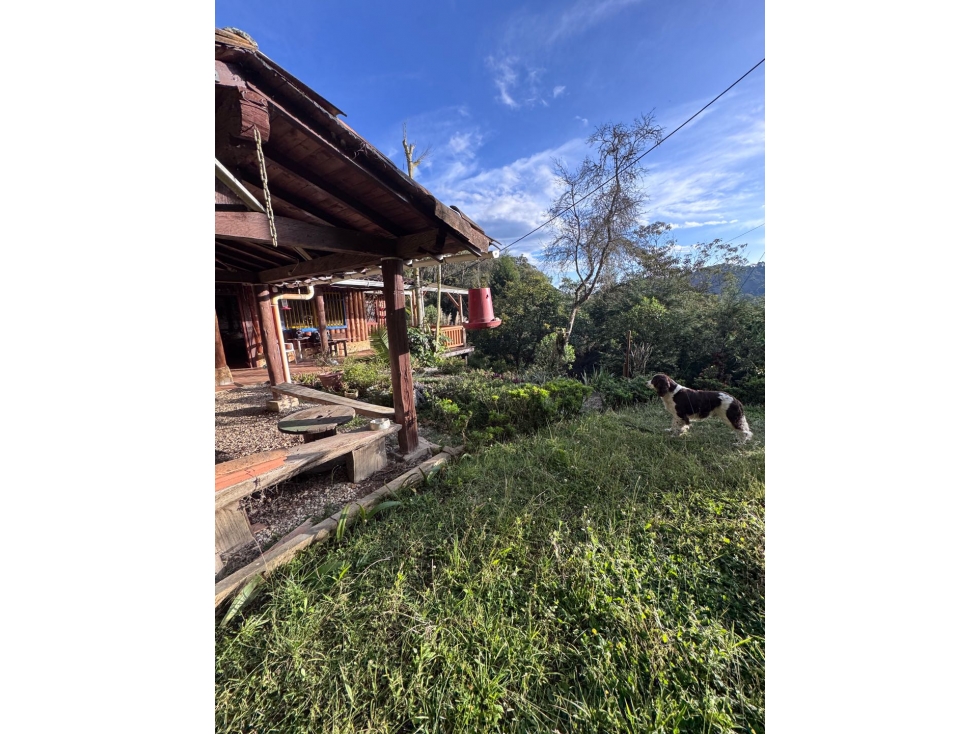 Vendo extraordinario lote para proyecto urbanístico rural — foto 3