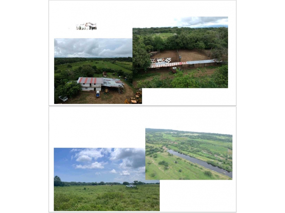 VENDO FINCA 1110HA 95% TOPOGRAFIA -Plana - 3