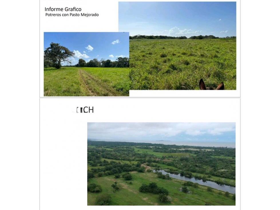 VENDO FINCA 1110HA 95% TOPOGRAFIA -Plana - 4