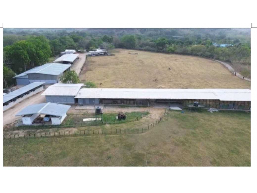 VENDO FINCA 1110HA 95% TOPOGRAFIA -Plana - 2
