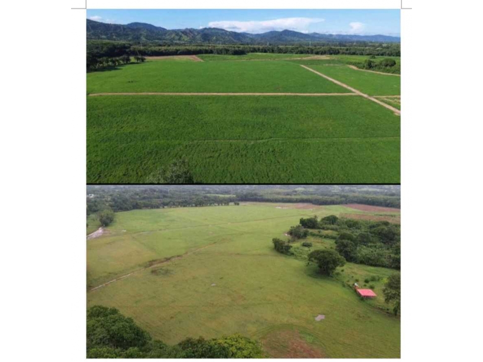 VENDO FINCA 1110HA 95% TOPOGRAFIA -Plana - 5
