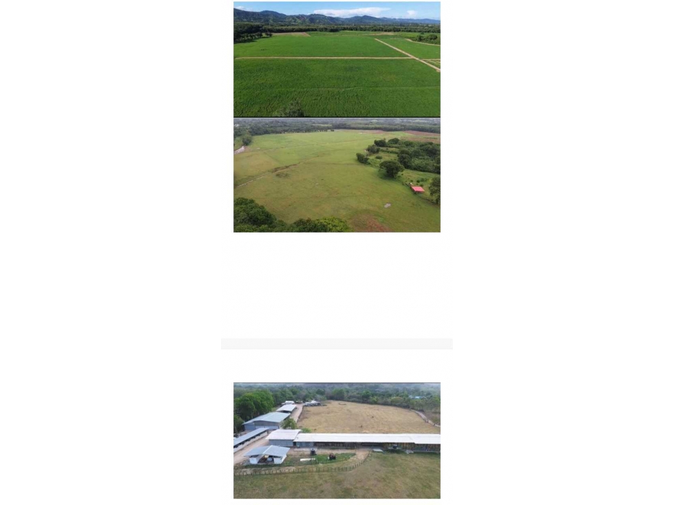 VENDO FINCA 1110HA 95% TOPOGRAFIA -Plana - 6