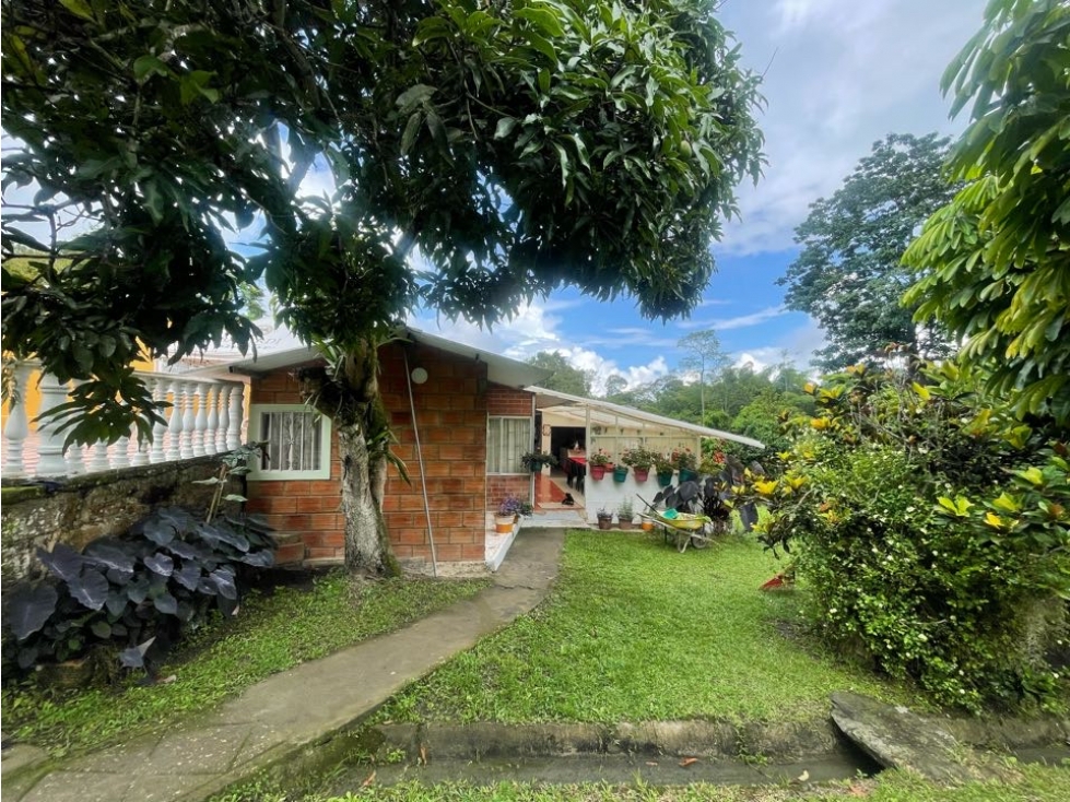VENDO FINCA DE 13000 M2 COLEGIO CUNDINAMARCA - 4