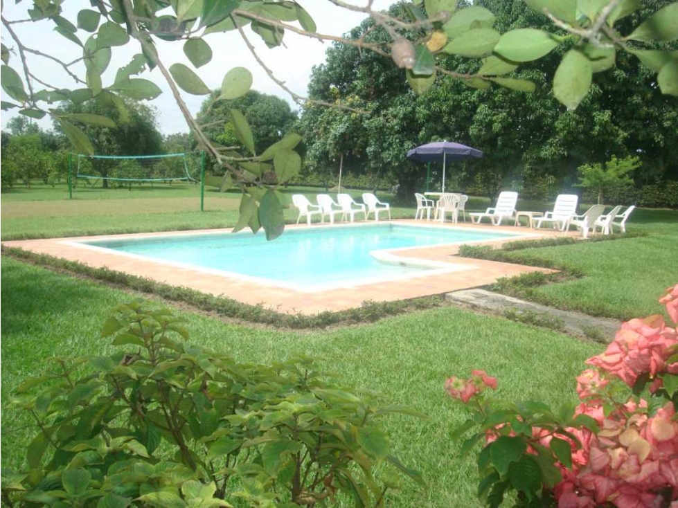 Vendo finca - 3