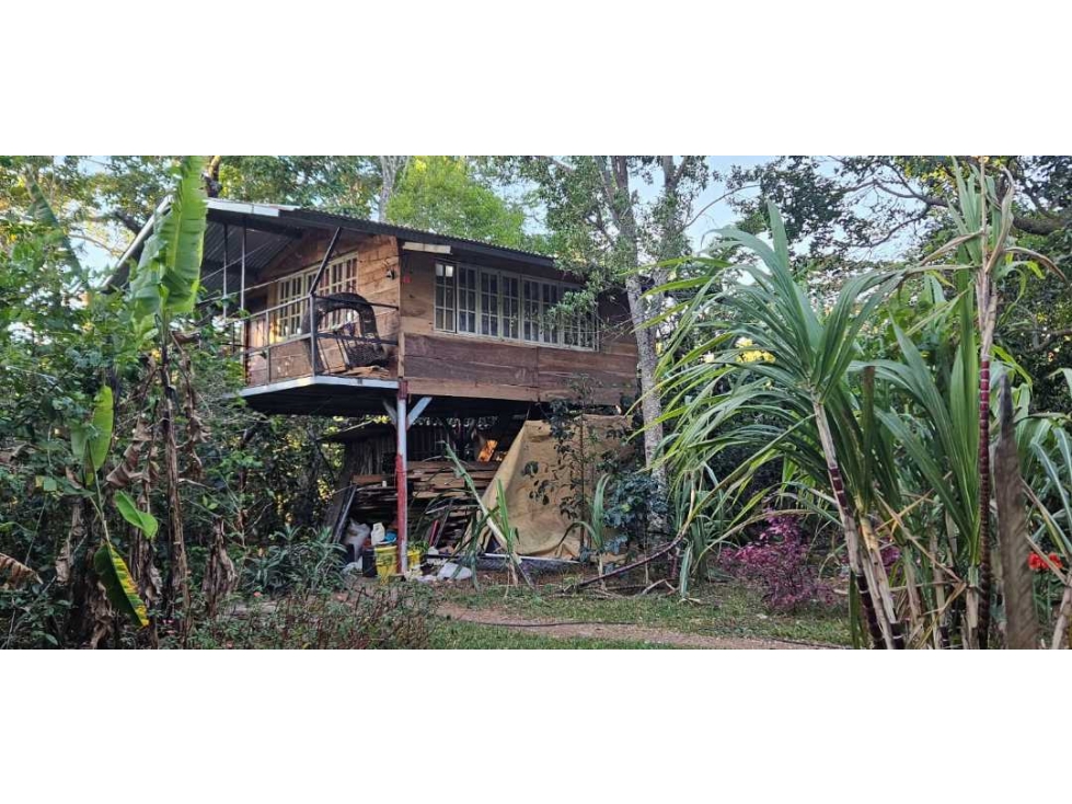 VENDO FINCA 1 HAS EN BOQUETE PALMIRA - 1