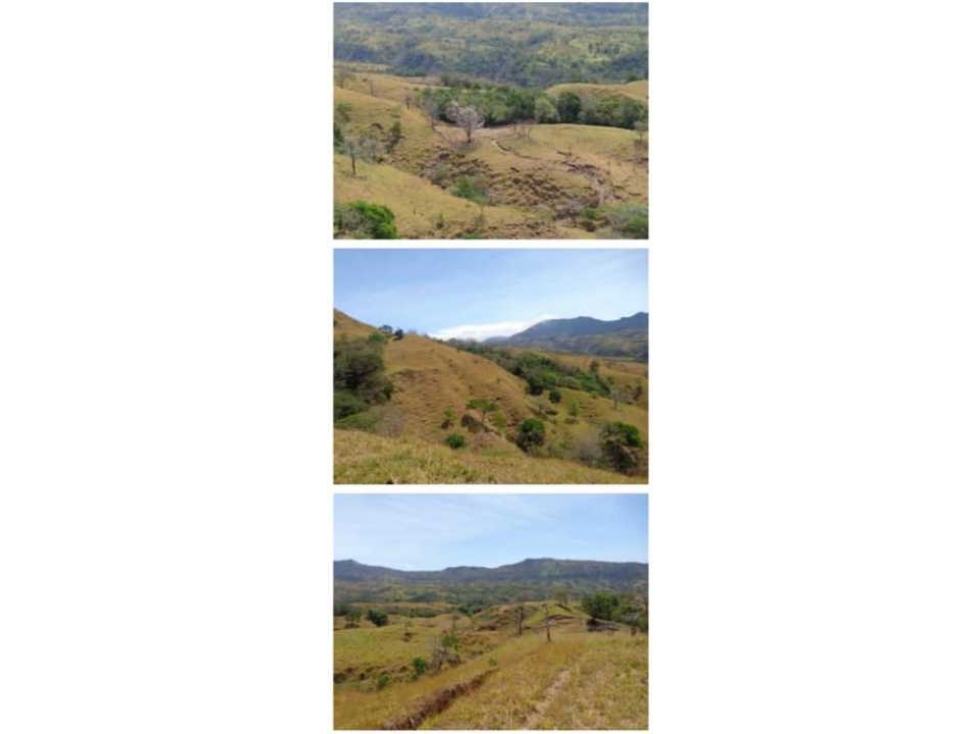 VENDO FINCA 205 HECTAREAS EOLICAS - 2