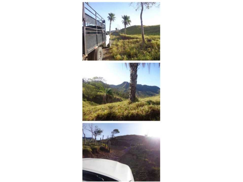 VENDO FINCA 205 HECTAREAS EOLICAS - 3