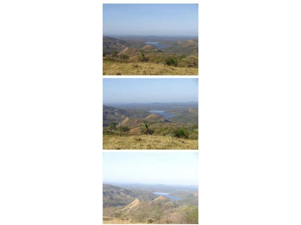VENDO FINCA 205 HECTAREAS EOLICAS - 4