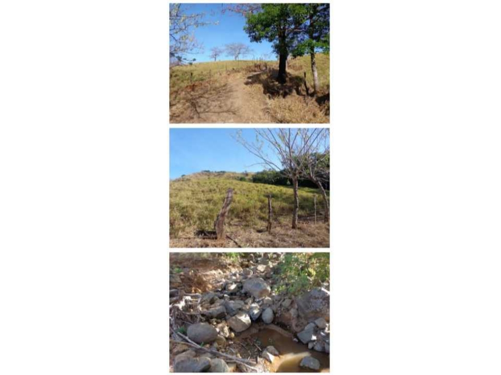 VENDO FINCA 205 HECTAREAS EOLICAS - 5