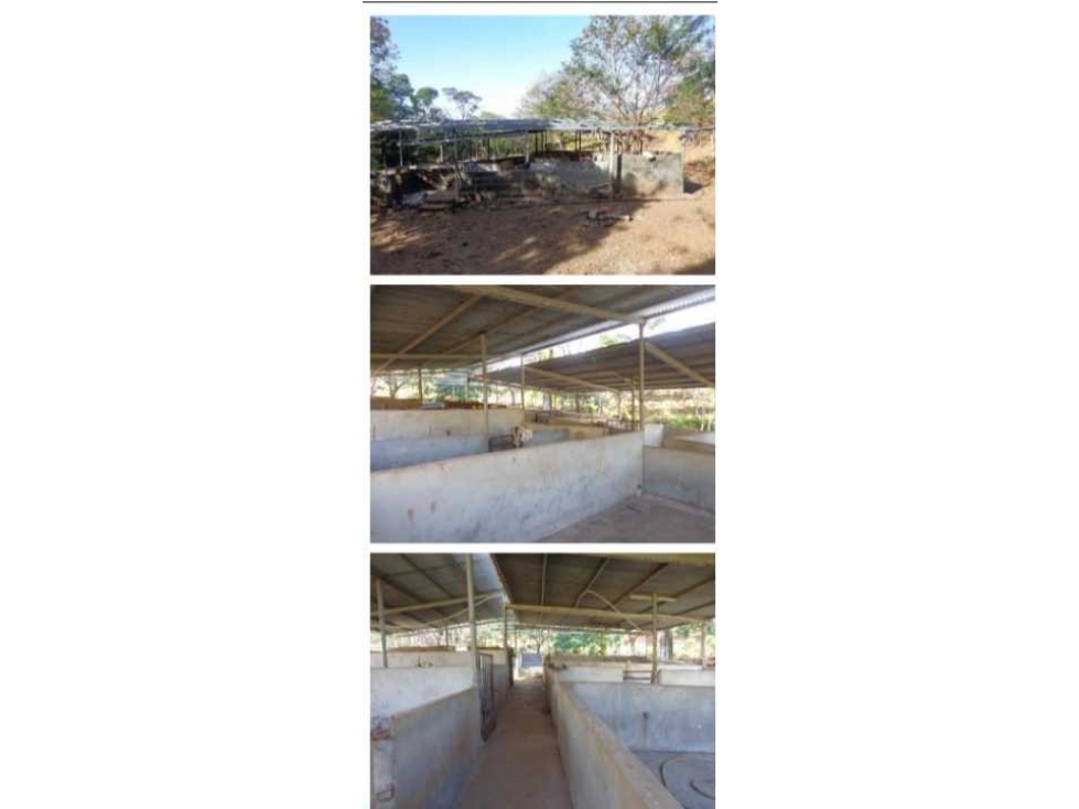 VENDO FINCA 205 HECTAREAS EOLICAS - 6