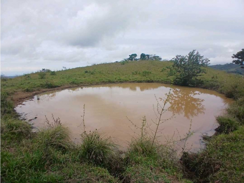 VENDO FINCA 29 HECTAREAS - PALMIRA DE LAS TABLAS - 3