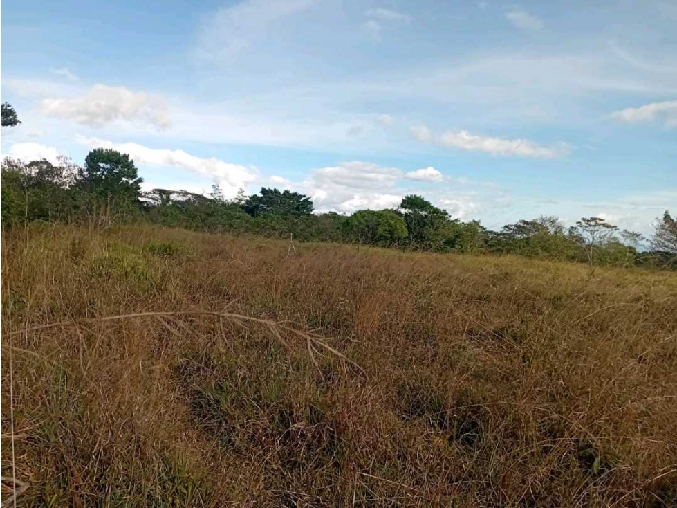VENTA DE FINCA 4HECTAREAS POTRERILLOS. - 3