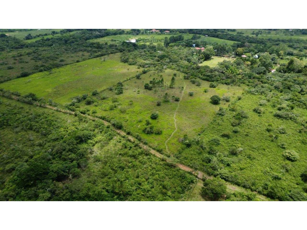VENTA DE FINCA 4HECTAREAS POTRERILLOS. - 5