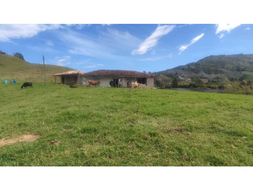 VENDO FINCA 64 MIL MTS EN EL CARMEN IDEAL PARCELACION