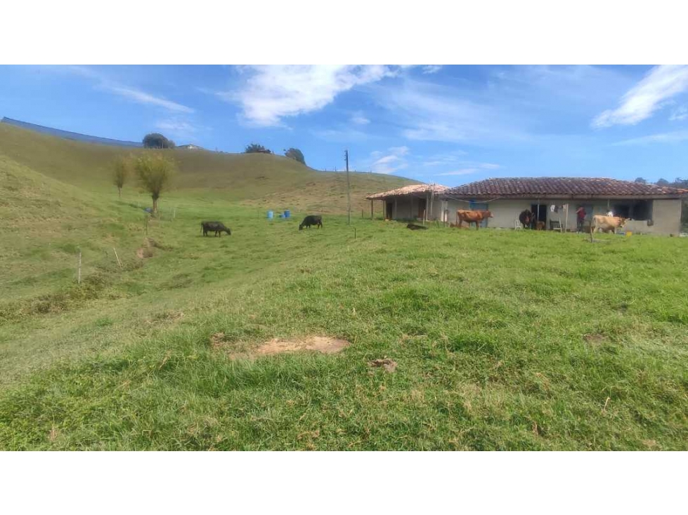 VENDO FINCA 64 MIL MTS EN EL CARMEN IDEAL PARCELACION — foto 2