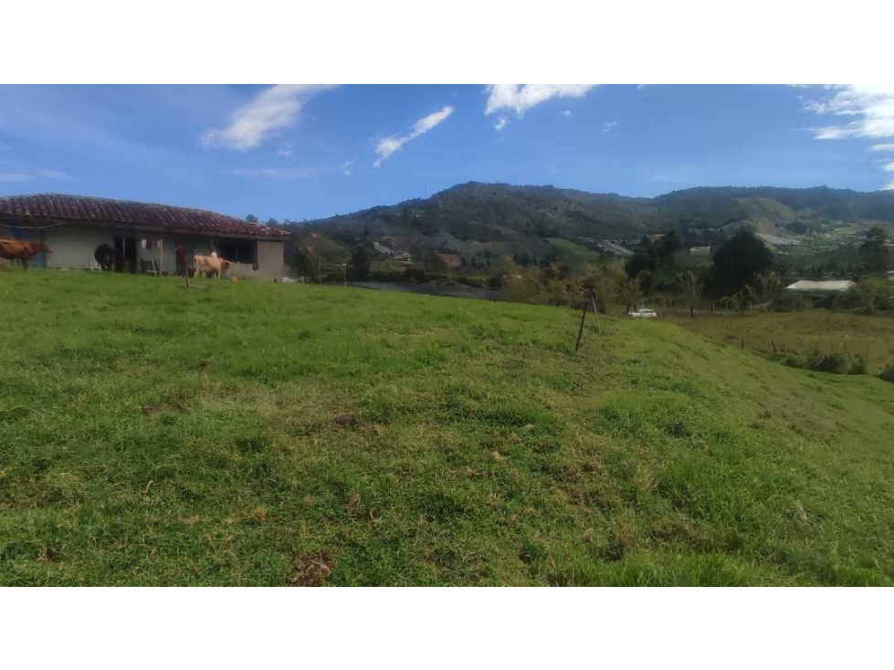 VENDO FINCA 64 MIL MTS EN EL CARMEN IDEAL PARCELACION — foto 3
