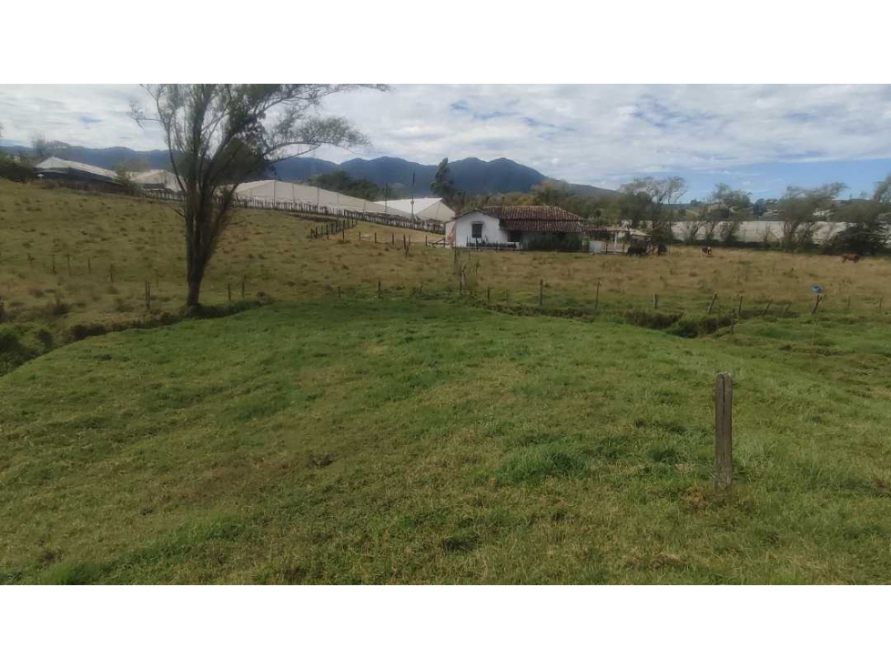 VENDO FINCA 64 MIL MTS EN EL CARMEN IDEAL PARCELACION — foto 4