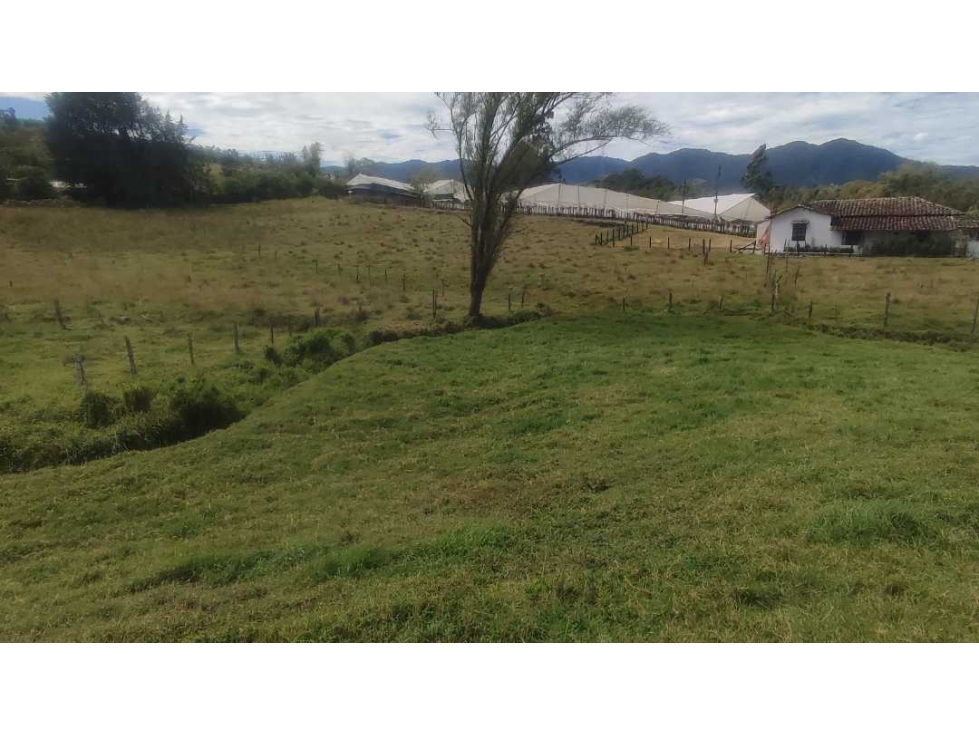 VENDO FINCA 64 MIL MTS EN EL CARMEN IDEAL PARCELACION — foto 5
